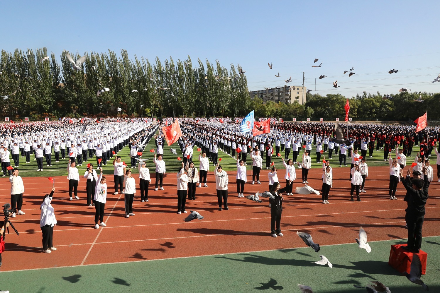 b799d661f65c45d2996647effab7f84a.jpg b799d661f65c45d2996647effab7f84a.jpg