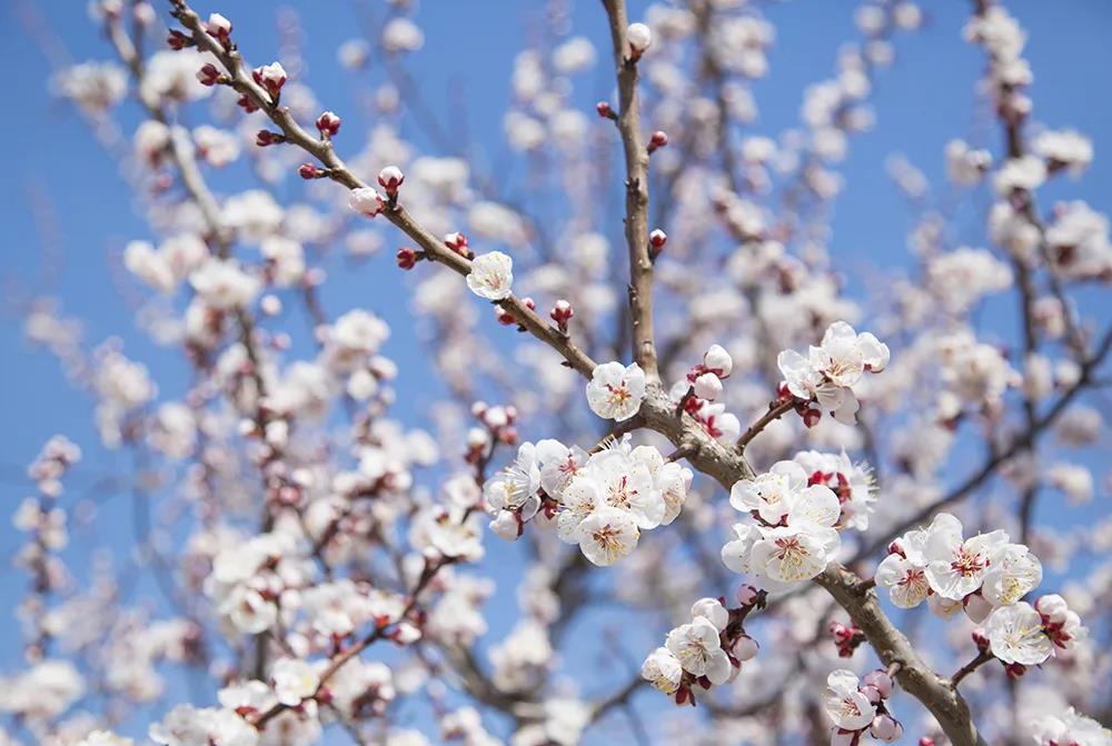 05abc5fb1c0546ce8b4d94504d71a885.jpg 05abc5fb1c0546ce8b4d94504d71a885.jpg