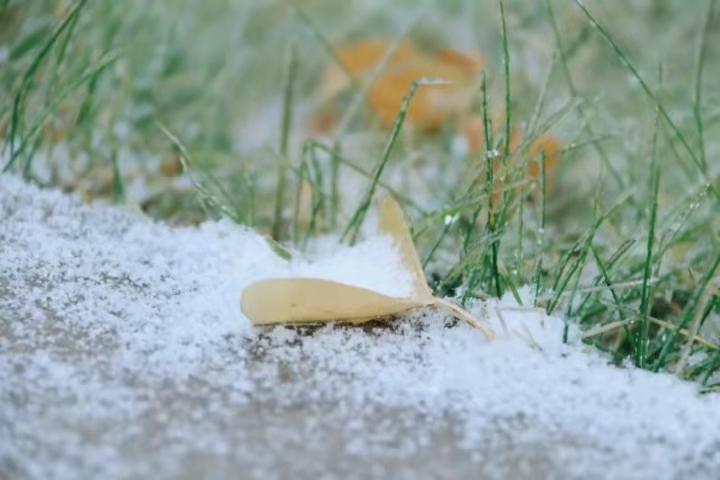 6cedc801a9e240cfa0dc02ef3cbd6d21.jpg 6cedc801a9e240cfa0dc02ef3cbd6d21.jpg