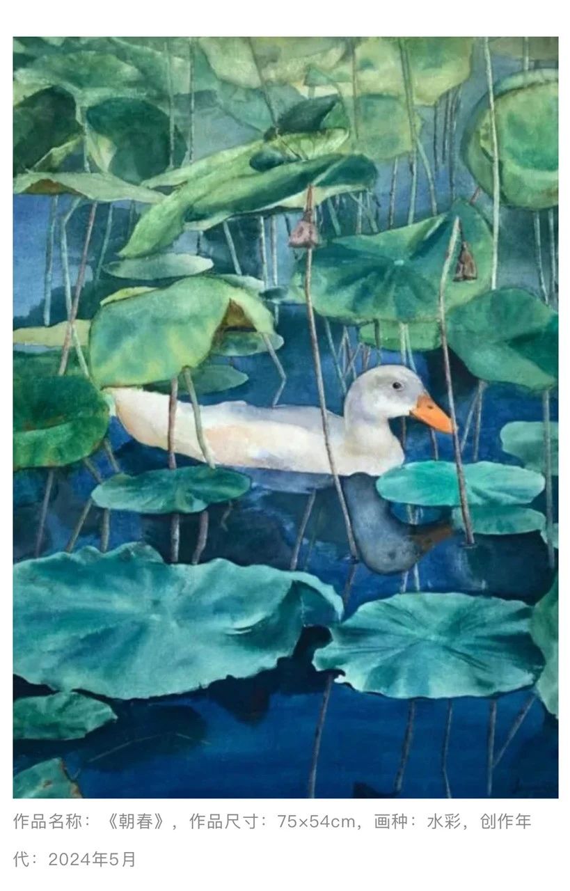 458e325d62f14777a4065a3e46d9b985.jpg 微信图片_20241009160632.jpg